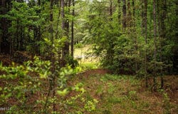 2683 33 Highway, Crosby, MS 39633