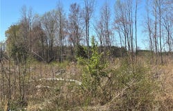 1512 Cox Avenue, Rocky Mount, NC 27801