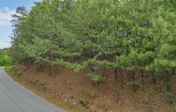 135 Chestnut Mountain Farms Parkway, McGrady, NC 28649