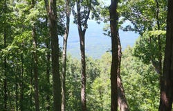 233 Southview Ledge Road, Landrum, SC 29356