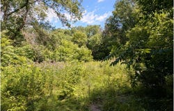 23561 Holly Drive, Long Prairie, MN 56347
