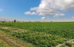 3940 N 2300 E, Filer, ID 83328