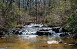 0 Shake Rag, Pine Mountain, GA 31822
