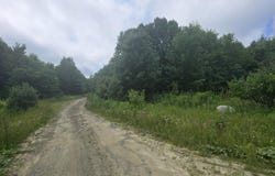 M20 L 39-4 Fire Road, Linneus, ME 04730
