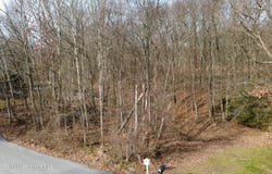 244 White Birch Drive, Scranton, PA 18504