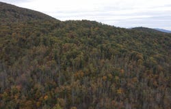 0 North Fork Road, Amherst, VA 24521