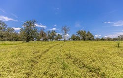 LOT 8 Mill Creek Ranch Road, New Ulm, TX 78950