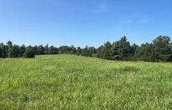 000 Harlow Road, Summersville, MO 65571