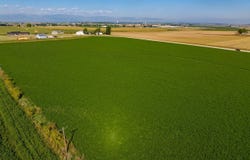 6012 Quiet View Ct, Loveland, CO 80537