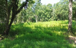 766 T Bar Road, Benson, NC 27504