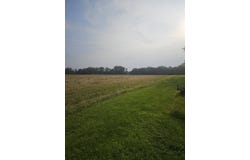 0 Hwy 35 N, Carrollton, MS 38917
