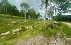 53 Malibu Drive, Corbin, KY 40701
