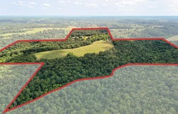 Chestnutridge, MO 65630