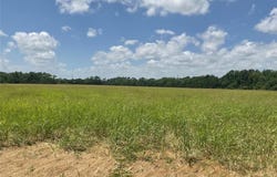 Tbd County Road 171, Celina, TX 75009