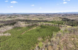 365 Pattie Gap Rd, Philadelphia, TN 37846