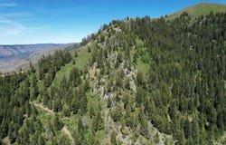 Forest Service Road 106, Council, ID 83612
