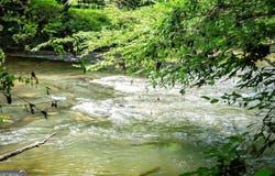 LT 67&68 Bice LN, Blue Ridge, GA 30513