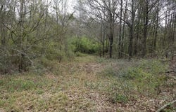 0 Suggs Road, Headland, AL 36345