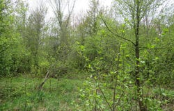 14108 Fire Tower Road, Sidnaw, MI 49961