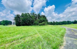 81 Shearer Cemetery Ln, Columbia, KY 42728