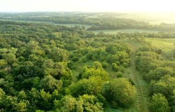 000 Hazel Road, Newtown, MO 64667