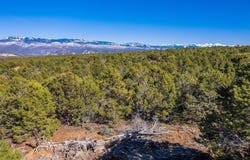 Pinion Ridge Road, Montrose, CO 81403