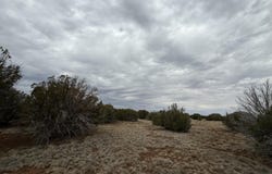 149 County Rd 8057, Concho, AZ 85924