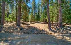 43 Tolowa Trail, Graeagle, CA 96103