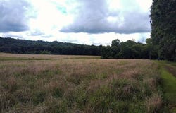 460 Skaggs Road, Morehead, KY 40351