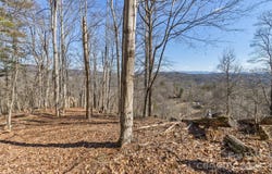 Anderson Branch Road, Marshall, NC 28753