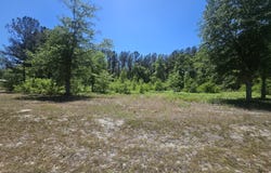 Edgar Lane Road, Millen, GA 30442