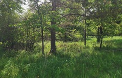 730 Coolidge, Iron River, MI 49935
