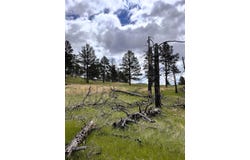 TBD Gruenhagen Road, Moorcroft, WY 82721