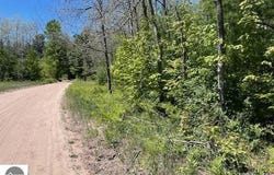 Aylsworth Road, Beulah, MI 49617