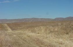 3 Calico Trail, Santa Margarita, CA 93453