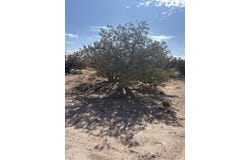 8580e Lawson Lane, Snowflake, AZ 85937