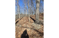 Ruddle Rd, Mountain View, AR 72560