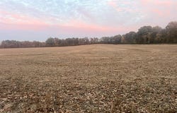 0 County Road 237, Bloomfield, MO 63825