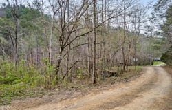 Lot 121 Creek Hollow Way, Sevierville, TN 37876