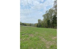 8819 Helujon Acres Drive, Hillsboro, MO 63050