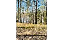 208 Dogwood Circle, Abbeville, AL 36310