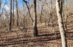 id 22 Shady Grove Rd, HOLLADAY, TN 38341
