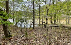 Rebecca Lane lot: 5, McCormick, SC 29835