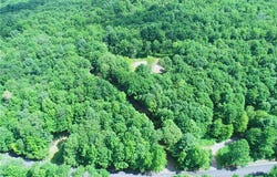 16.1 & 16.2 Scutt Mtn Road, Stamford, NY 13739