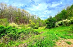 763 WHETSTONE ROAD, MANNINGTON, WV 26582