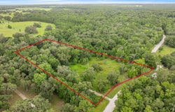 12290 NW 168TH PLACE, REDDICK, FL 32686