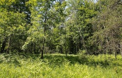 0 V/L W 13 Mile Rd., Bitely, MI 49309