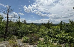on Bushy Cr Truck Trail, Marquette, MI 49855
