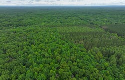 V/L 40a W 9 Mile Road, Irons, MI 49644