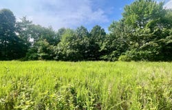 0 Forest Ridge Dr, Cambridge, OH 43725